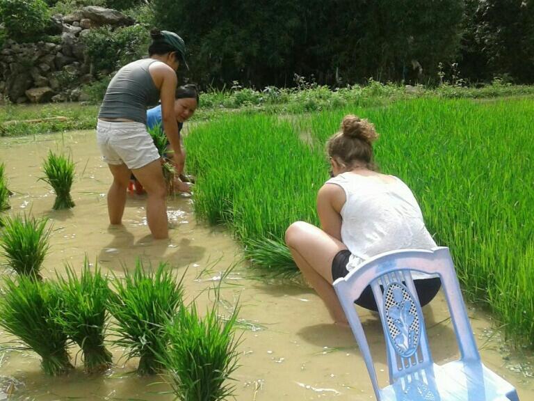Yen Nhi Homestay Ban Gioc  Cao Bang Bagian luar foto